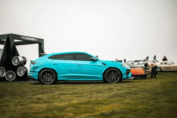 Casino Lucky 31 App Android/iOS