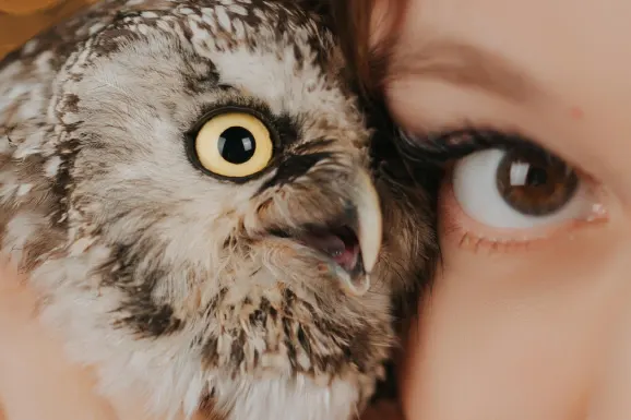 Casino Lucky 31 Suporte